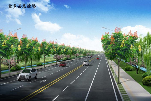金鄉(xiāng)縣袁徐路